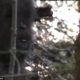 Image for article titled New "footage" of Bigfoot emerges